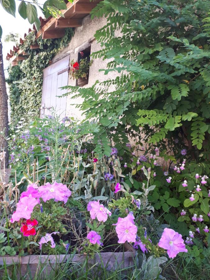 Bed and Breakfast L'Orme-Vial Saint-Galmier Exteriér fotografie