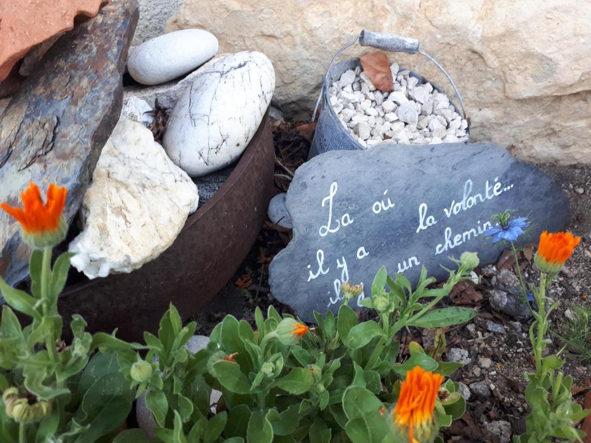 Bed and Breakfast L'Orme-Vial Saint-Galmier Exteriér fotografie