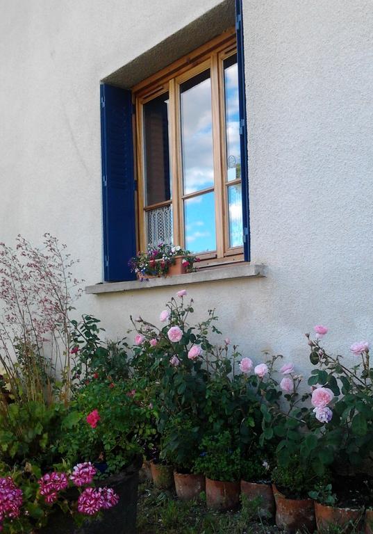 Bed and Breakfast L'Orme-Vial Saint-Galmier Exteriér fotografie
